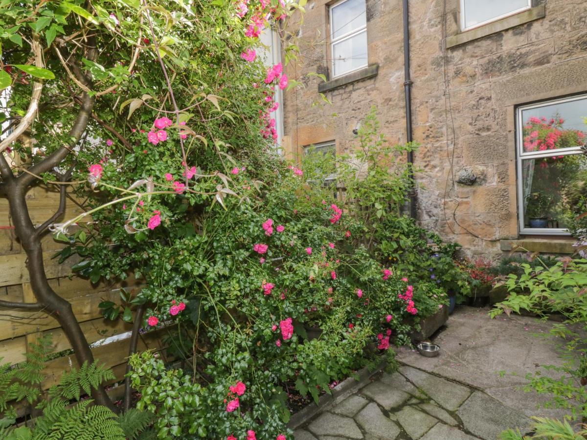 6 Ronald Place Stirling Exterior foto